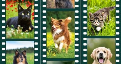Our big photo competition is back!
