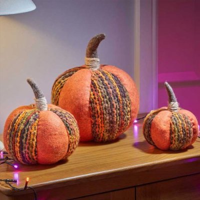Harvest Pumpkin - XL