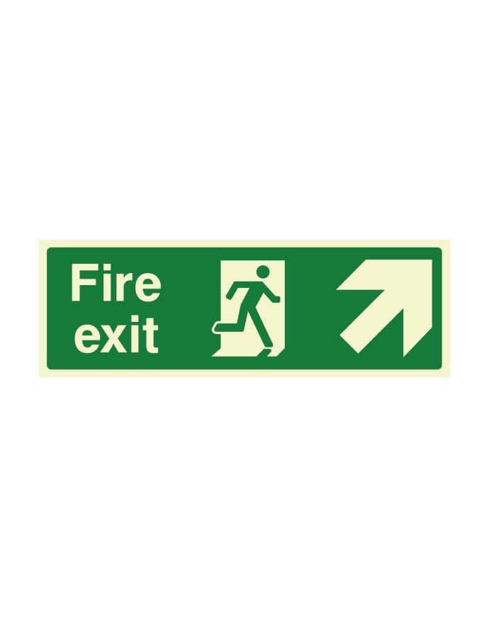 CHECK FIRE FIRE EXIT UP RIGHT 450X150 PHOTOLUM