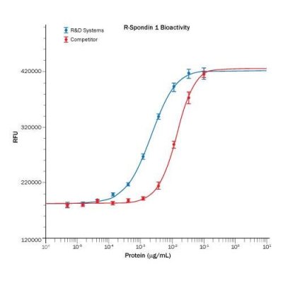 Protein, Recombinant Human R-Spondin 1 Protein, CF, 100 &micro;g