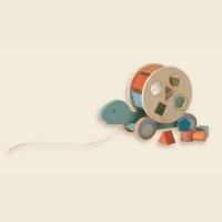Pull-Along Turtle