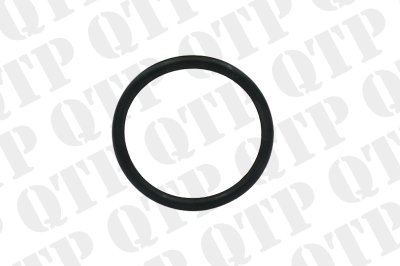 Fuel Pump O-Ring