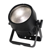 eLumen8 Endura CW100 COB Exterior Fixture