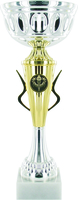 25cm Gold & Silver Cup Trophy (Boxed) | TC78