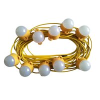 50w LED Festoon 10 Way 22m IP44