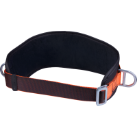 Delta Plus 2-Point Positioning Belt, Black/Orange