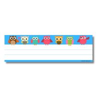 R&R Desk Name Plates - Owls (24)
