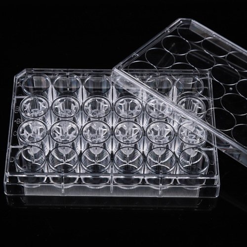 Cell Culture Inserts WhiteSci