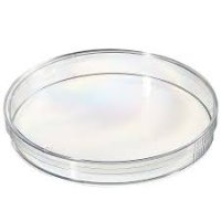 Petri Dish 15mm x 60mm