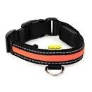 * Animates Soft Nylon LED Collar - Small 13½" - 16" Orange x 1