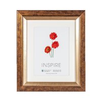 Inspire Frame Two Tone Gold