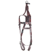 Pioneer  2-Point Rescue Harness
