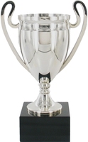 21cm Plastic Euro Cup on Black Marble