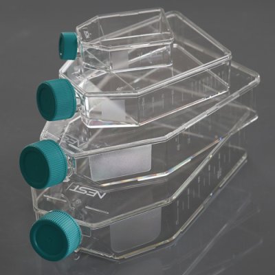 Cell Culture Flask