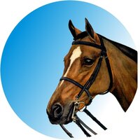 Horse - Head (25mm Centre)