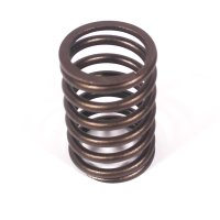 VALVE SPRING - OUTER