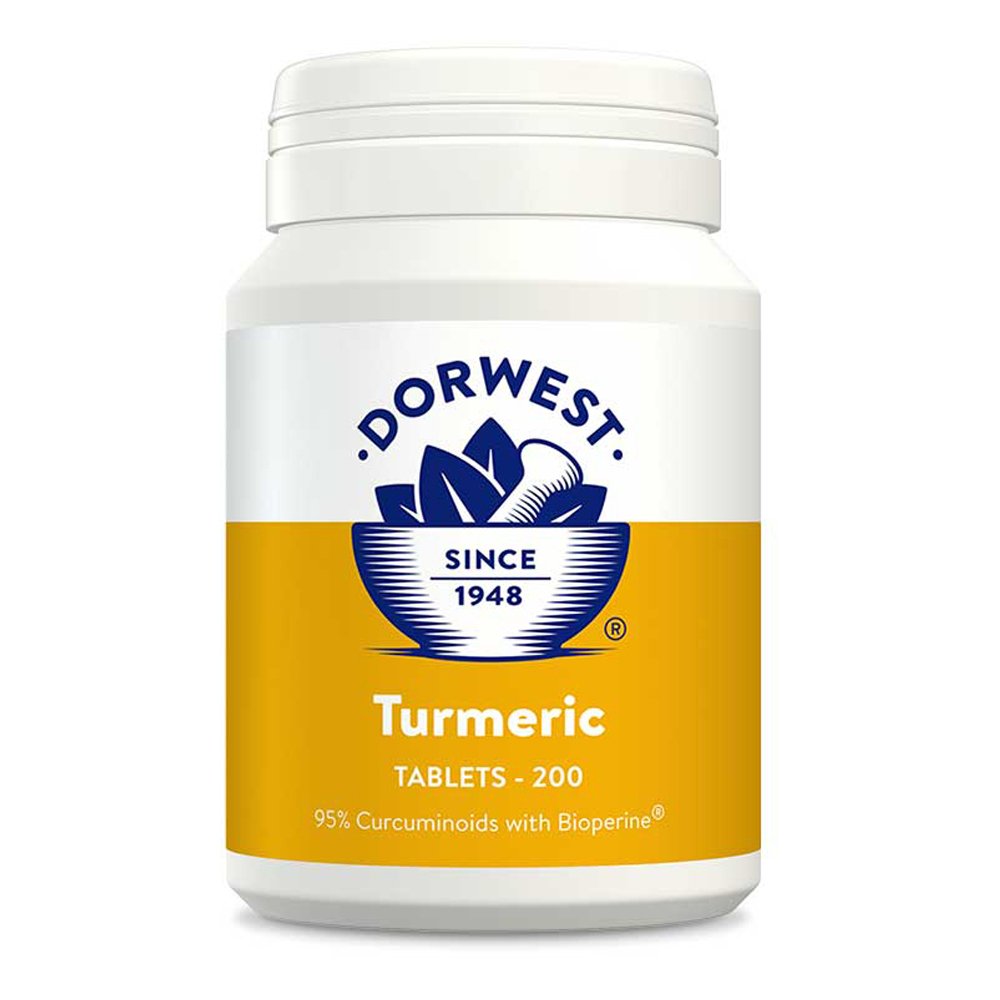Dorwest Turmeric Tablets