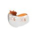 Bioclear Evolve Matrix Molar Orange 6mm - Pack of 25