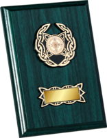 17.5cm Green Plaque with Celtic Trim (V202X)