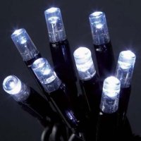 10M 100 LED Cool White Indoor/Outdoor String Lights C/W Controll
