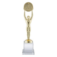 30cm Crystal & Gold Metal Award