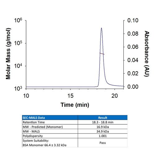 Protein, Recombinant Human IFN-gamma Protein, 100 &micro;g