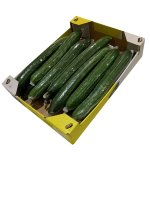 Cucumbers-(12/16x300/500gr) Box