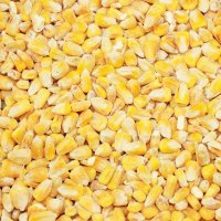 Whole Maize 20kg