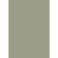 Farrow & Ball Lichen No.19 Colour Swatch