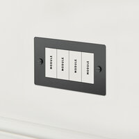 Buster and Punch 2G 4 Mod Euro Plate