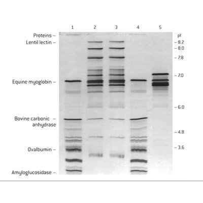 IsoGel&reg; Agarose