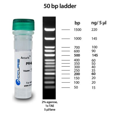 Accuris SmartCheck 50bp DNA Ladder, 5 x 500µl / 500 lanes