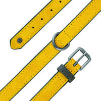 Sotnos Aquatech Brights Collar Yellow Small x 1