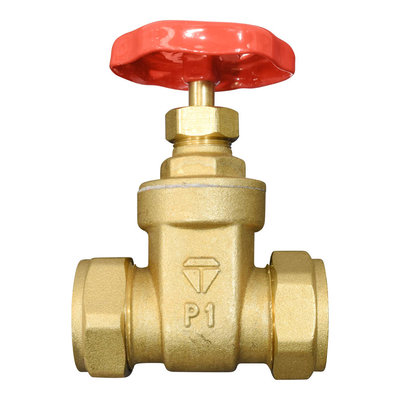 22MM Brass Gate Valve BS5154 Short