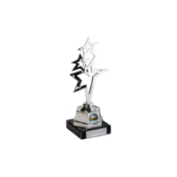 21cm (V202S) Star on Black Marble