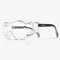 Riley Tilla Safety Goggles
