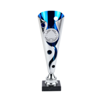 31cm Blue & Silver Plastic Cup (V202S)