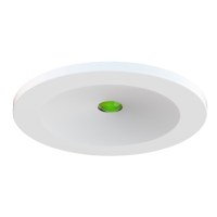 Ansell Signal 2W Emergency Downlight