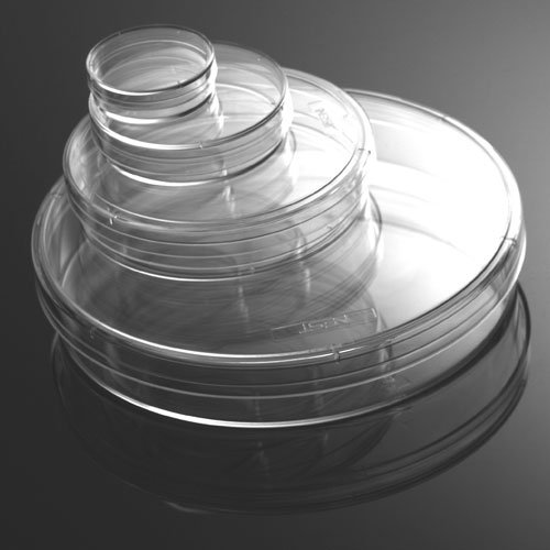 Cell Culture Dishes WhiteSci