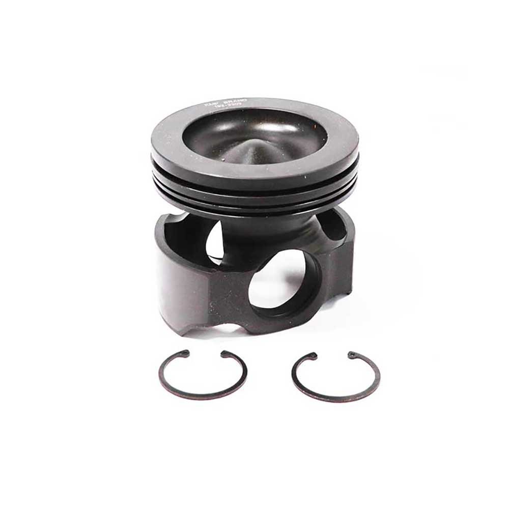 PISTON BODY C/W CLIPS