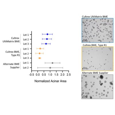 Cell Culture Matrix, Cultrex UltiMatrix Reduced Growth Factor Basement Membrane Extract, 5mL