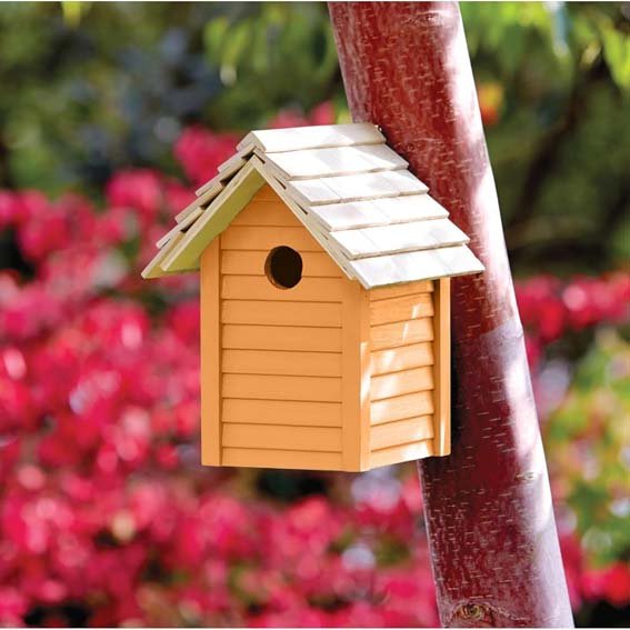 Ronseal Garden Paint Sunburst Colour Lifestyle