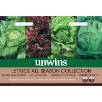 Lettuce-All-Season-Collection-Pack