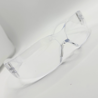 Bodytech Safety Glasses