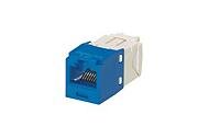 CAT6 Module Blue