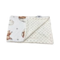 Bunny & Birdy Teddy Bear Blanket 100cm x 70cm