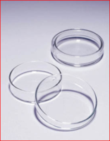 Pyrex™ Borosilicate Glass Petri Dishes
