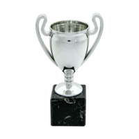 18cm Euro Cup on Black Marble Column