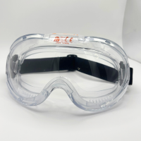 Bodytech Raptor Goggles, Clear Lens