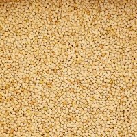 Johnston & Jeff French White Millet 20kg